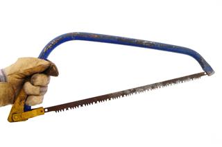 Gardener Holding A Bow Saw