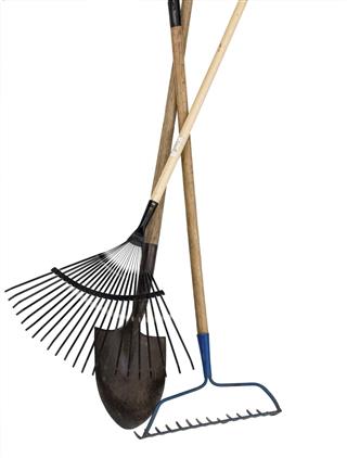 Shovel and Two rakes