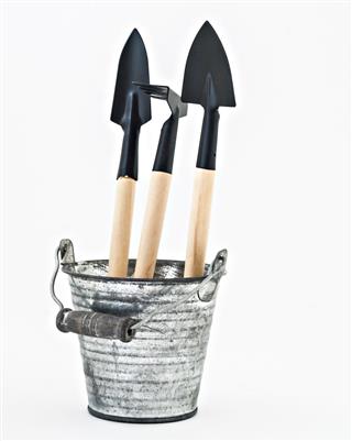 Garden tools in bucket