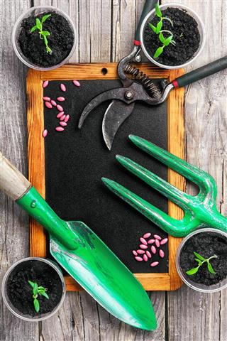 garden tools on slate