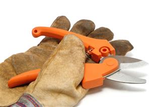 Pruning Shears And Leather Glove