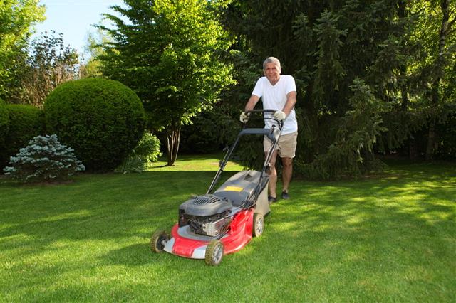 Man Working With Lawn Mover