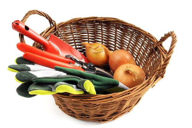 Basket with Gardening tools