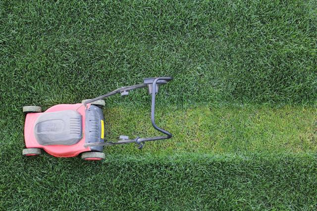 Grass Cutter At The Lawn