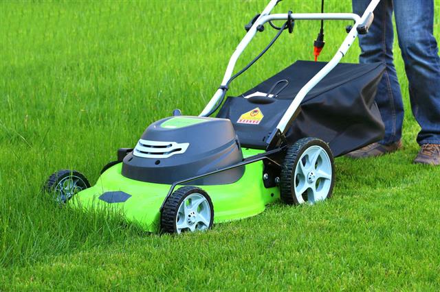 Man Cutting Grass With Lawn Mower