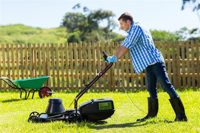 Young Man Mowing Lawn
