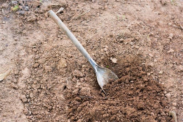 Shovel in the soil