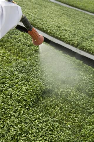 Agricultural Spraying