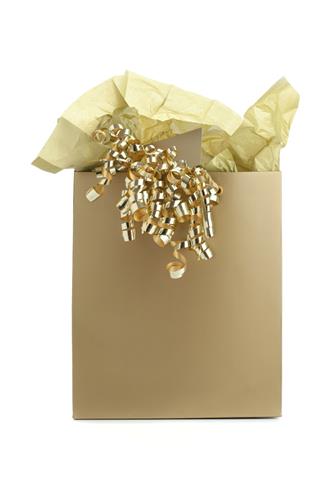 Gift Bag With Curly Ribbon