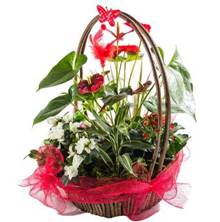 Bunch of Flowers in basket