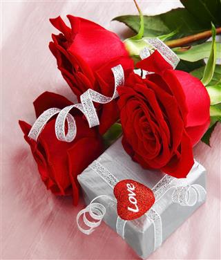 Beautiful roses with gift box