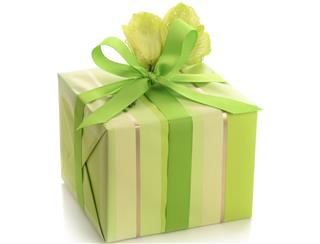 Pretty gift wrapped box