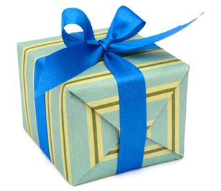 Gift wrapped present box
