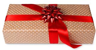 Christmas holiday wrapped gift box