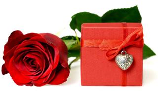 Valentines Day gift and red rose