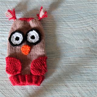 Owl Puppet For Children Day