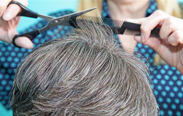 Hairdresser Cutting Hair