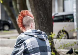 Punk With Original Red Hairdress
