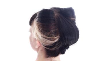 Rear View Of Intricate Hair Style