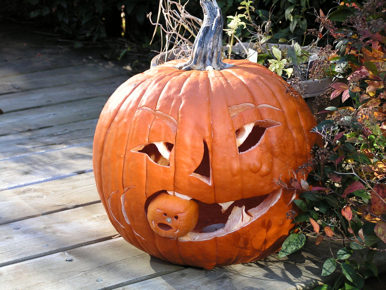 Pumpkin Carving Templates - Celebration Joy