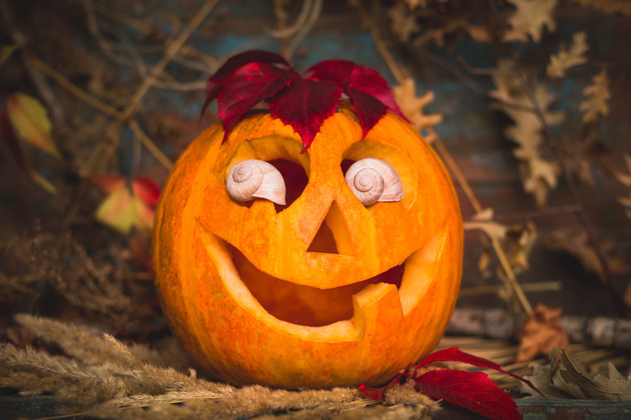 Pumpkin Carving Templates - Celebration Joy