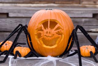 Halloween Spider Pumpkin