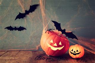 Cute Pumpkins And Bats