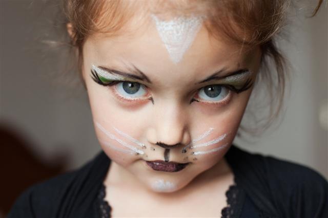 Little Girl With Her Face Painted