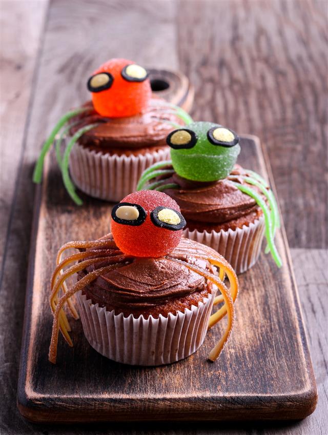 Halloween Decorated Sweet Spider Cupcakes