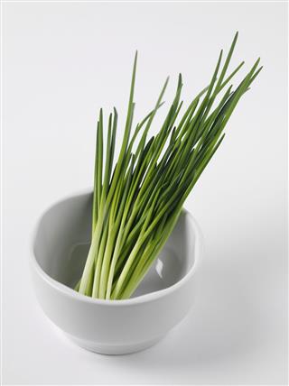 Mortar And Pestle With Chives