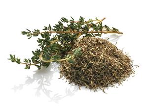 Fresh And Dried Thyme