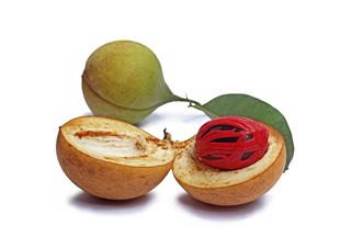 Nutmeg Seeds From Kerala