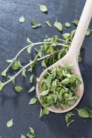 Catted Oregano On Wooden Spoon