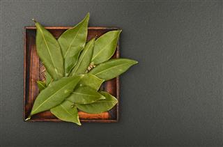 Plate Of Bay Leaves