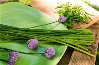Detail Of Chives On The Green Plate