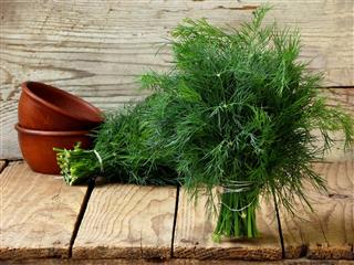Bunch Of Dill