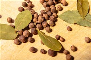 Allspice Seeds And Bay Leaves