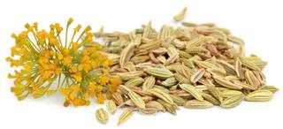 Fennel Seeds With Flowers