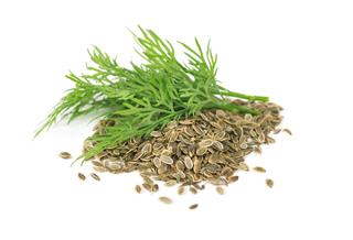 Heap Dill Seed With Fresh Dill