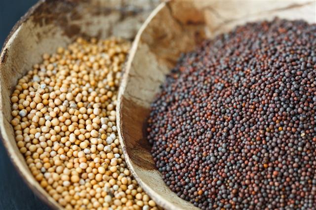 Brown And Yellow Mustard Seeds