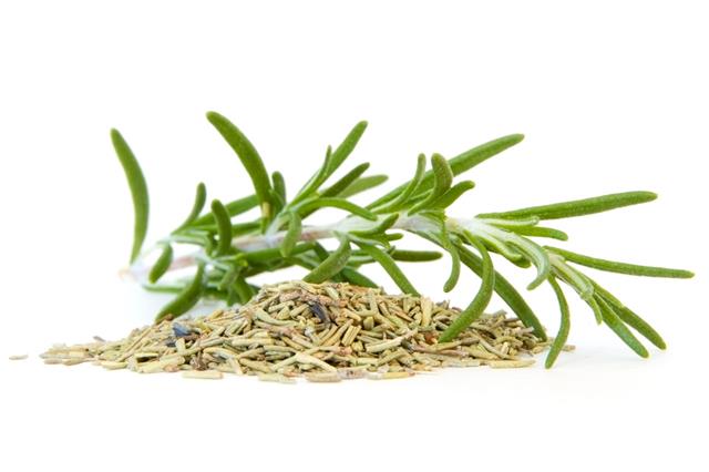 Fresh And Dried Rosemary On White