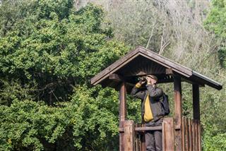 Senior Man With Binoculars