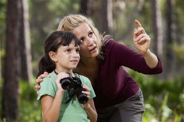 Mother And Daughter In Woods With Binoculars