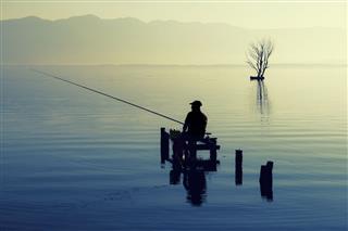 Fishing On The Lake