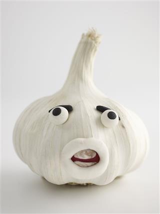 Garlic Portrait