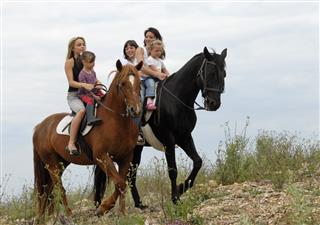 Family Horseback Riding On Two Horses