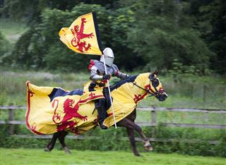 Mounted Knight Carrying The Royal Standard