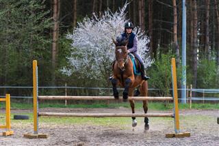 Girl Training Horse Jumping