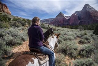 Horseback Riding In Zion National Park