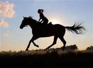 Country Girl Ride Horseback At Sunset